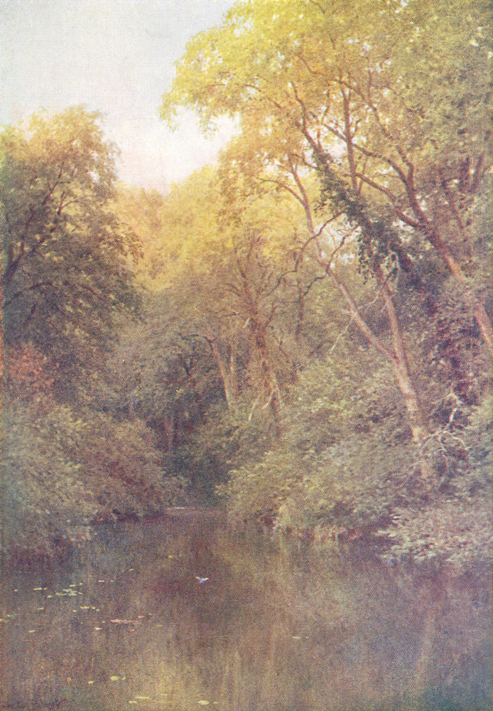 SURREY. Pilgrims way. Silent Pool, Albury 1912 old antique print picture